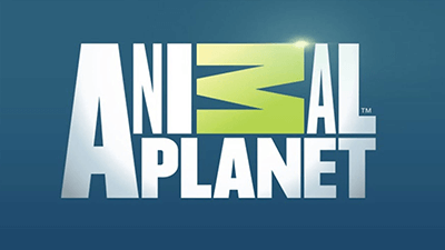 Animal Planet